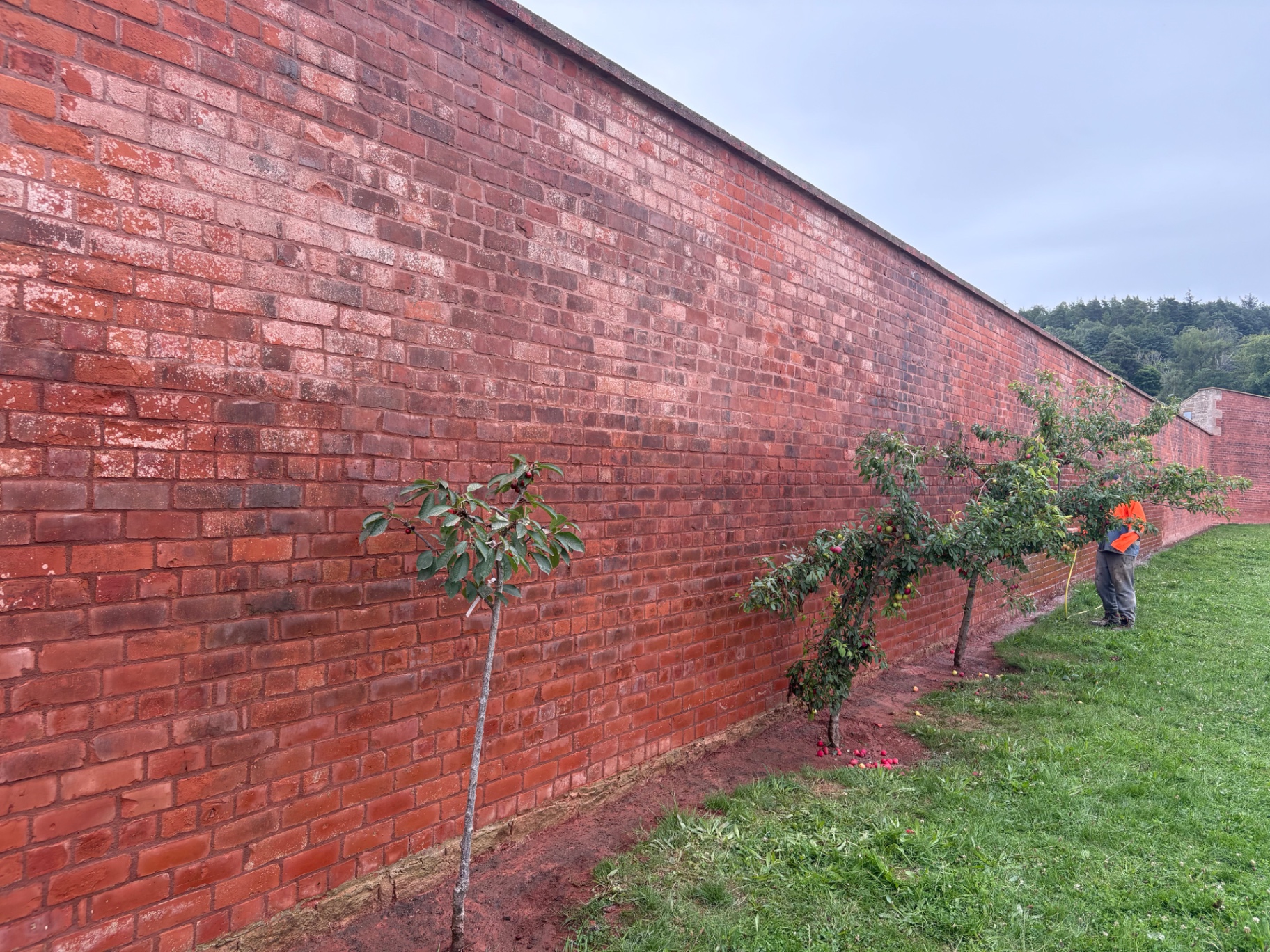 Long finished red brick estate wall running through a landscaped garden setting.